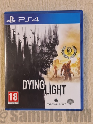 DYING LIGHT A
Keywords: ps4