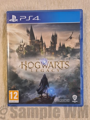 HOGWARTS LEGACY A
Keywords: ps4