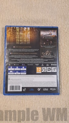 HOGWARTS LEGACY  B
Keywords: ps4