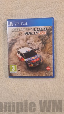 SEBASTIEN LOEB RALLY EVO A
Keywords: ps4