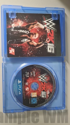 W2K16 C
Keywords: ps4