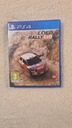 SEBASTIEN_LOEB_RALLY_EVO_A.jpg