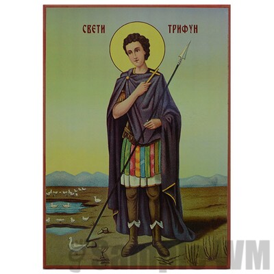 sveti trifun
